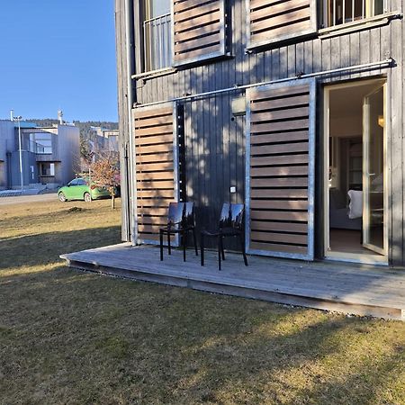 Apartman Sova - Klinovec Loučná pod Klínovcem Bagian luar foto