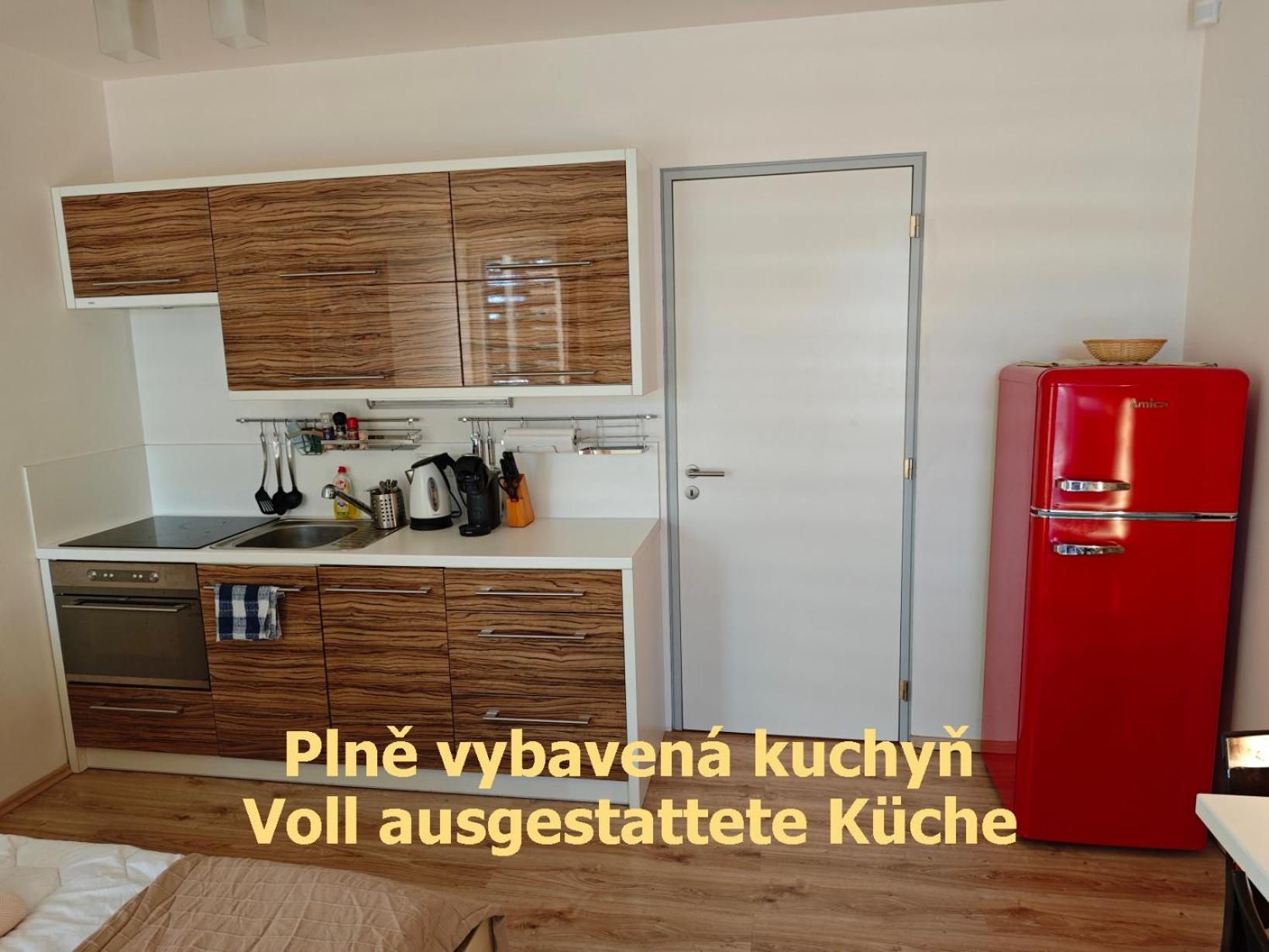 Apartman Sova - Klinovec Loučná pod Klínovcem Bagian luar foto